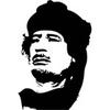 Gaddafi's Avatar