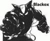 Blackox's Avatar