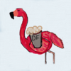 DrunkFlamingo's Avatar