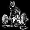 Squatdog's Avatar