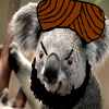 KoalaAkbar's Avatar