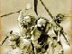 Deus ret.'s Avatar