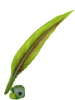 Scribe's Quill (Emerald)