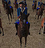 grafsodenaudragoons.jpg