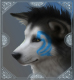 WhiteWolf's Avatar