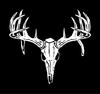 Red Stag's Avatar
