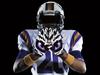 LSUTigerFan's Avatar