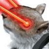 lasersquirrel's Avatar