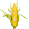 LukeCorn's Avatar