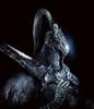 Artorias's Avatar