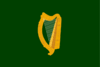 Irish King's Avatar