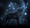 _SilverWolf_'s Avatar