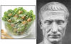 Julius Caesar Salad's Avatar