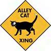 alleycat's Avatar