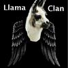 Llama_Clan's Avatar