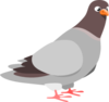 Randompigeon's Avatar