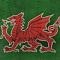 Welsh Dragon