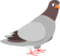 Randompigeon